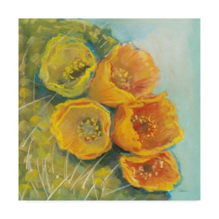 Carol Rowan 'Blooming Succulent Ii' Canvas Art,24x24